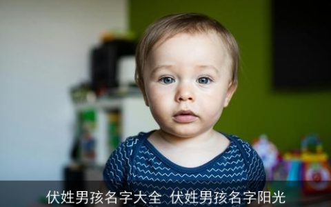 伏姓男孩名字大全 伏姓男孩名字阳光