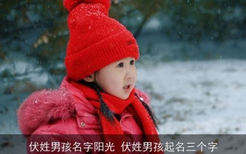 伏姓男孩名字阳光 伏姓男孩起名三个字