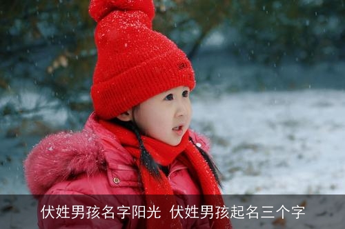 伏姓男孩名字阳光 伏姓男孩起名三个字