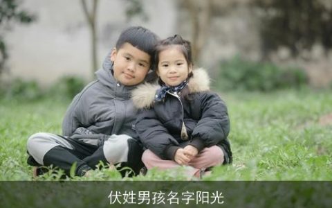 伏姓男孩名字阳光