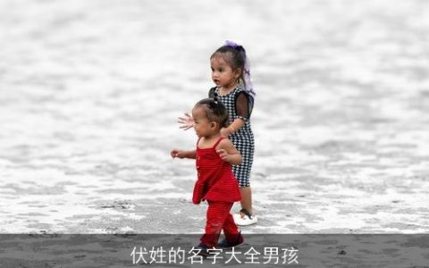 伏姓的名字大全男孩