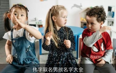 伟字取名男孩名字大全