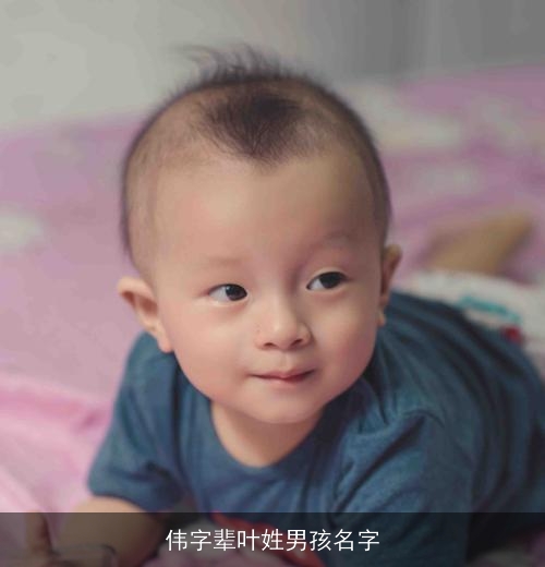 伟字辈叶姓男孩名字