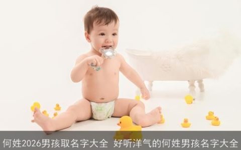 何姓2026男孩取名字大全 好听洋气的何姓男孩名字大全