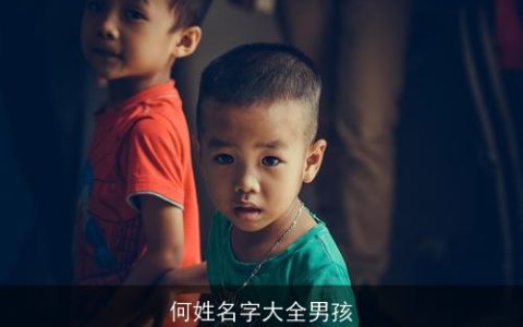 何姓名字大全男孩