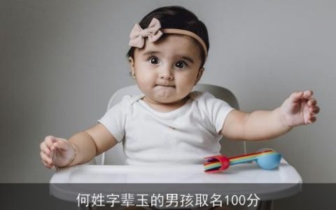 何姓字辈玉的男孩取名100分