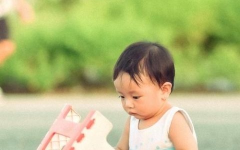 何姓带草字头的男孩名字大全 2026有涵养帅气的何姓带草字男孩名字