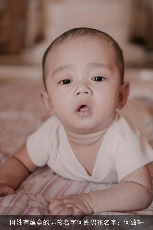 何姓有蕴意的男孩名字何姓男孩名字：何致轩
