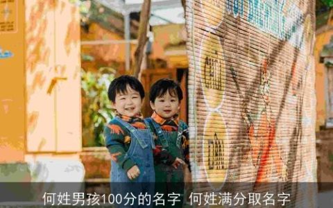 何姓男孩100分的名字 何姓满分取名字