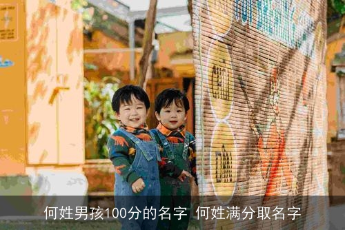 何姓男孩100分的名字 何姓满分取名字