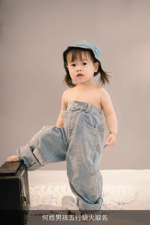 何姓男孩五行缺火取名
