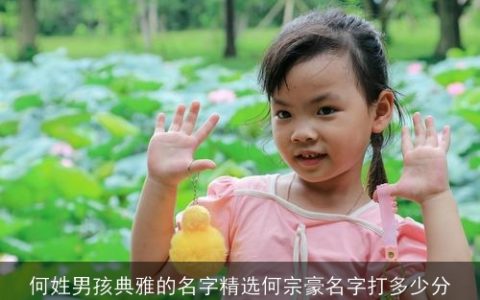 何姓男孩典雅的名字精选何宗豪名字打多少分