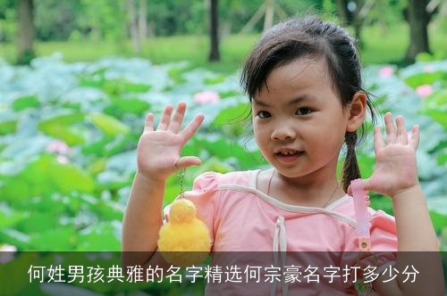 何姓男孩典雅的名字精选何宗豪名字打多少分