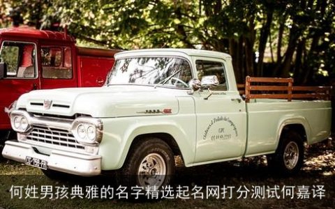 何姓男孩典雅的名字精选起名网打分测试何嘉译