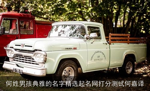 何姓男孩典雅的名字精选起名网打分测试何嘉译