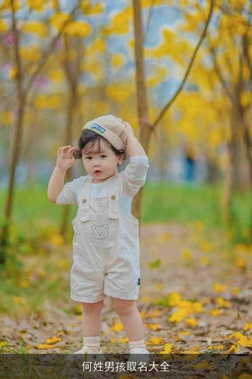 何姓男孩取名大全