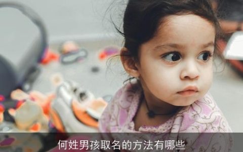 何姓男孩取名的方法有哪些