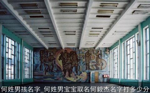 何姓男孩名字_何姓男宝宝取名何毅杰名字打多少分