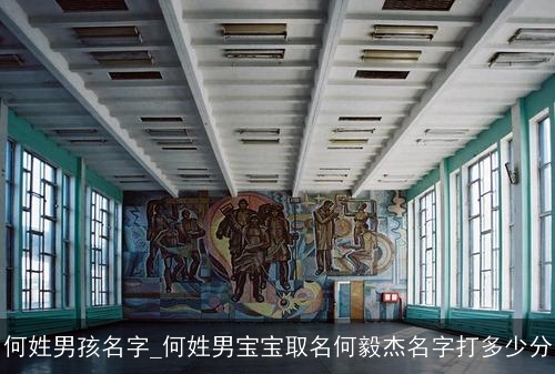 何姓男孩名字_何姓男宝宝取名何毅杰名字打多少分