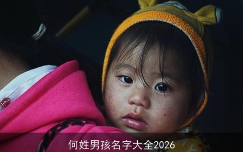 何姓男孩名字大全2026