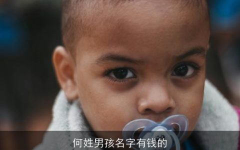何姓男孩名字有钱的