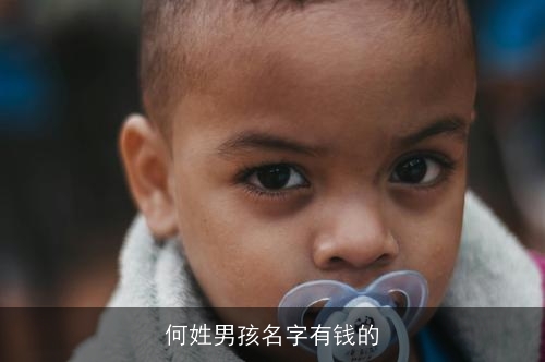 何姓男孩名字有钱的