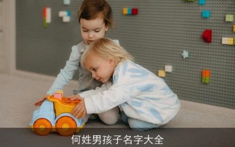 何姓男孩子名字大全