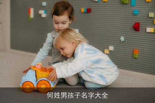 何姓男孩子名字大全