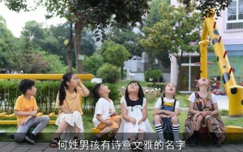 何姓男孩有诗意文雅的名字