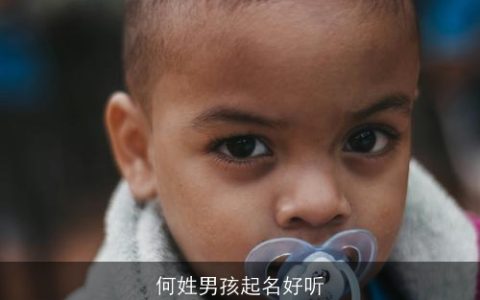 何姓男孩起名好听