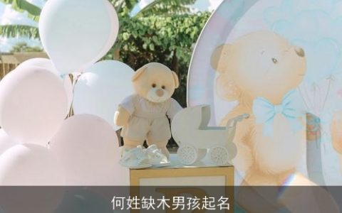 何姓缺木男孩起名