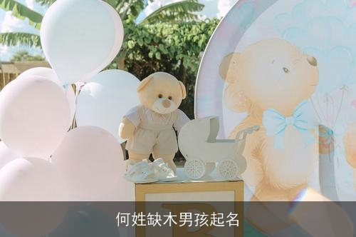 何姓缺木男孩起名