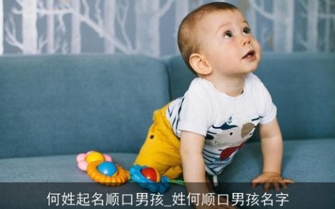 何姓起名顺口男孩_姓何顺口男孩名字