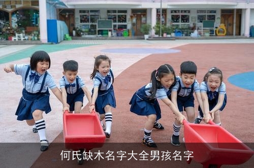何氏缺木名字大全男孩名字