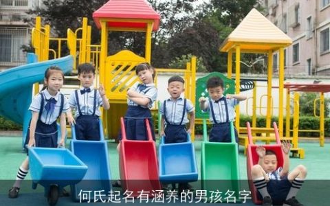 何氏起名有涵养的男孩名字