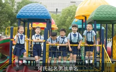 何氏起名男孩单名