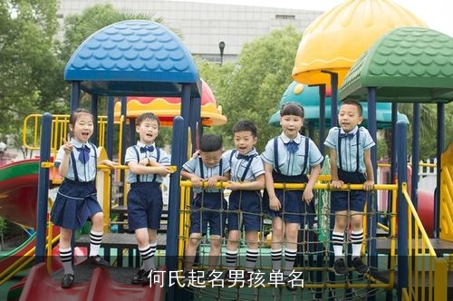 何氏起名男孩单名