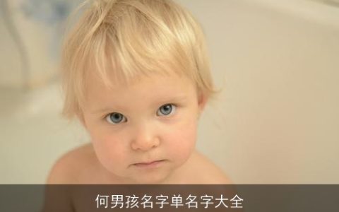 何男孩名字单名字大全