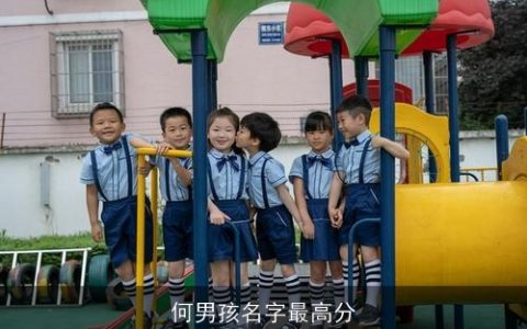 何男孩名字最高分