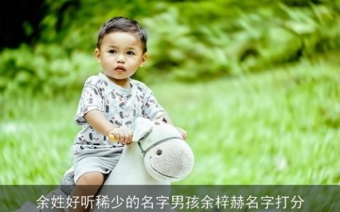 余姓好听稀少的名字男孩余梓赫名字打分
