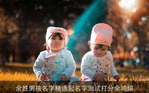 余姓男孩名字精选起名字测试打分余鸿煊