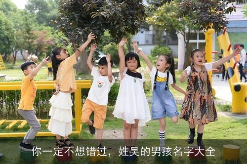 你一定不想错过，姓吴的男孩名字大全