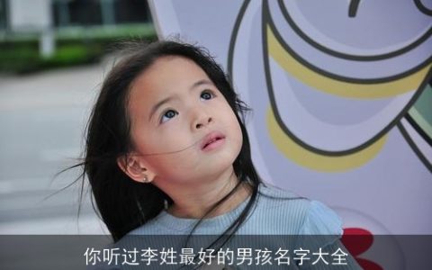 你听过李姓最好的男孩名字大全