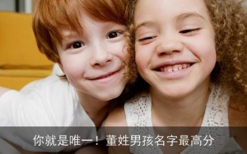 你就是唯一！董姓男孩名字最高分