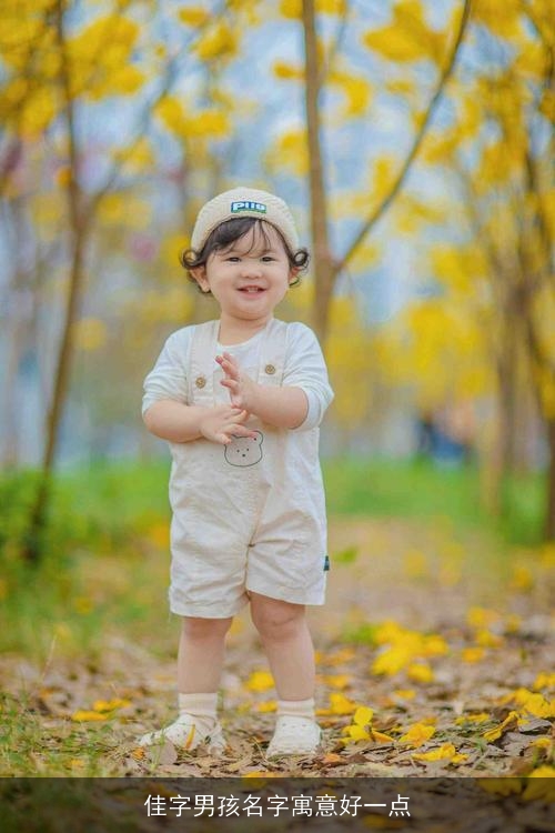 佳字男孩名字寓意好一点