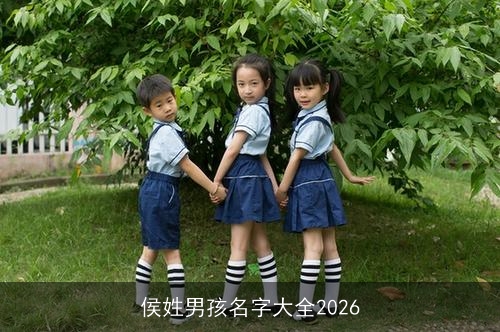 侯姓男孩名字大全2026