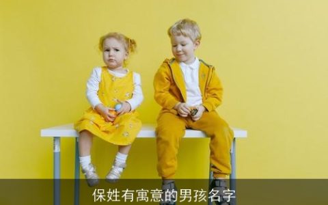 保姓有寓意的男孩名字