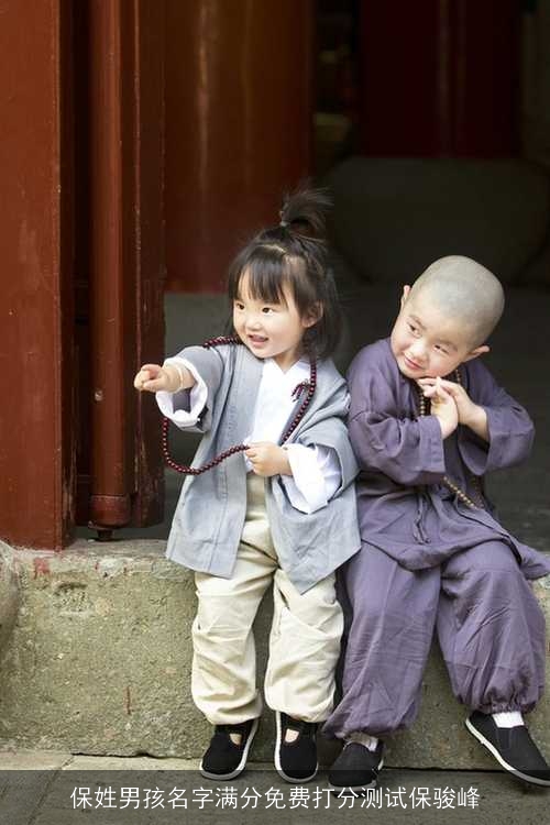 保姓男孩名字满分免费打分测试保骏峰