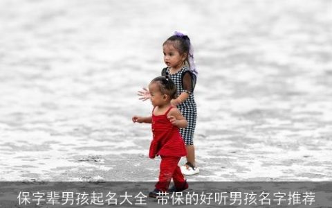 保字辈男孩起名大全 带保的好听男孩名字推荐