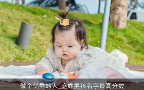 做个优秀的人_盛姓男孩名字最高分数